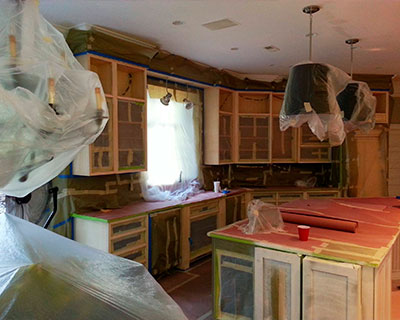 Our Gallery